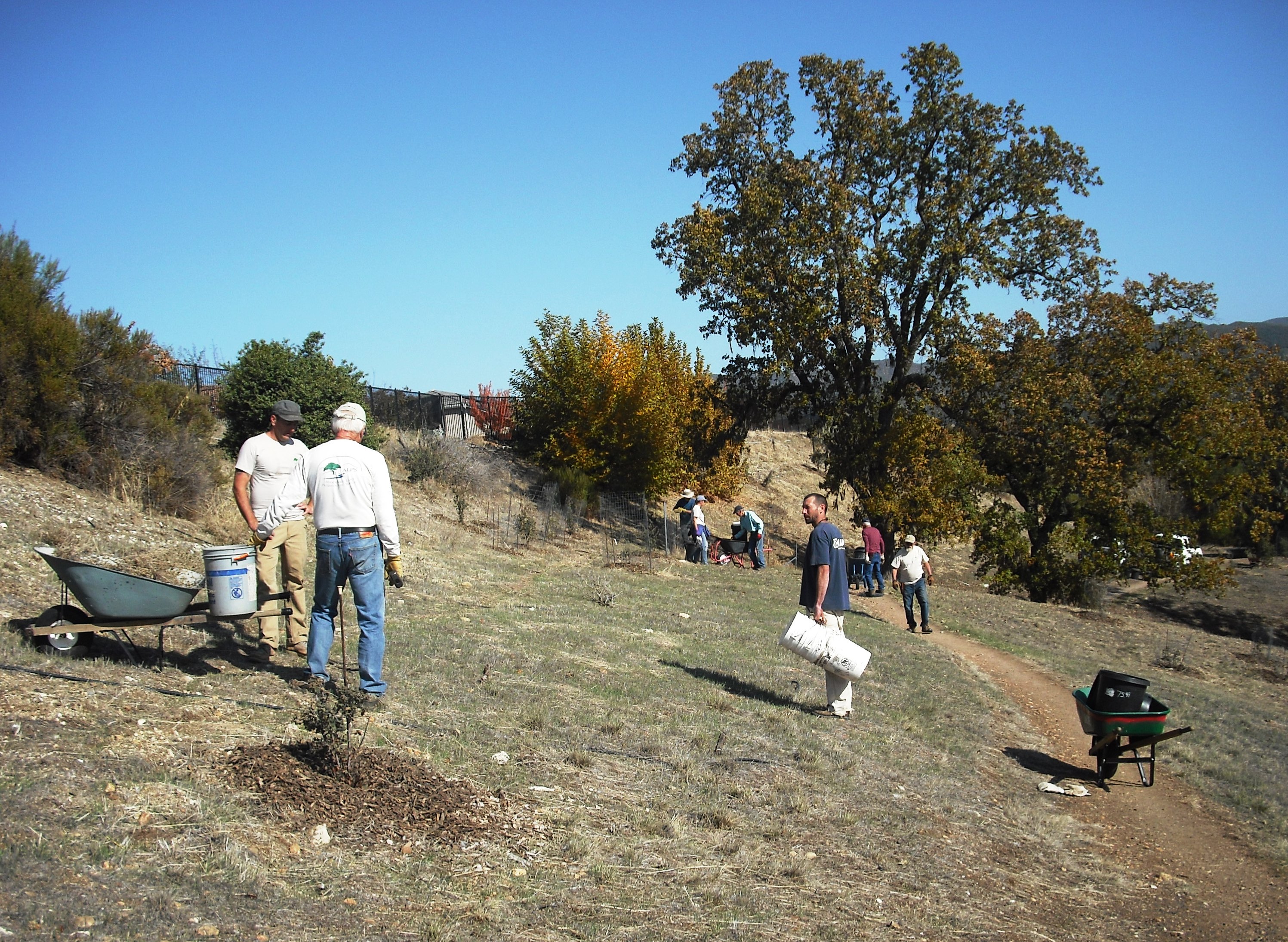 Volunteers getting things done!